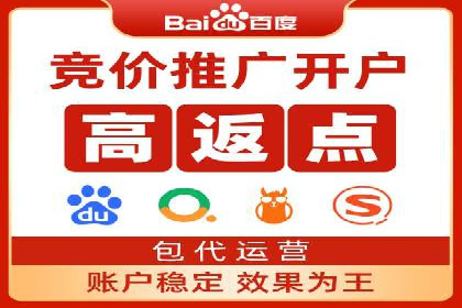 竞价SEM助力电商平台快速提升流量